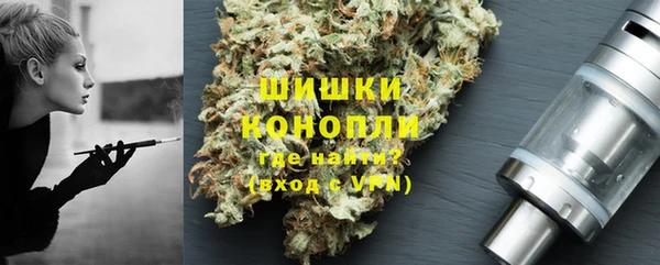 амф Арсеньев