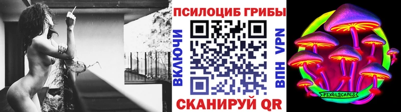 blacksprut ссылка  где найти   Усть-Джегута  Галлюциногенные грибы MAGIC MUSHROOMS 